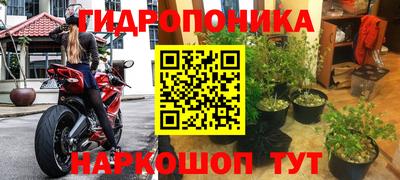 соль курить ск Пушкино