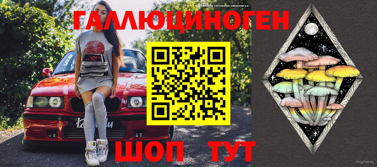 что такое наркотик  Псилоцибиновые грибы Psilocybe  Пенза  Вход с VPN  Галлюциногенные грибы прущие грибы 