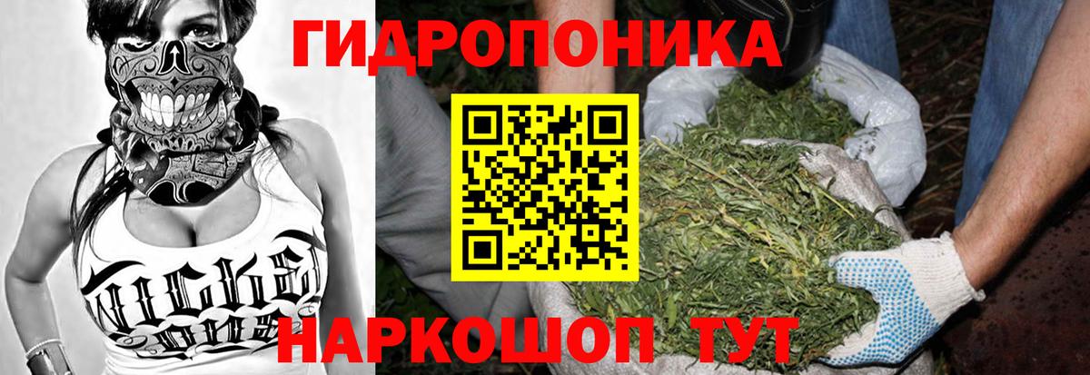 Шишки марихуана OG Kush Пенза
